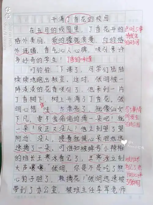 六年级上册语文第四单元习作修改