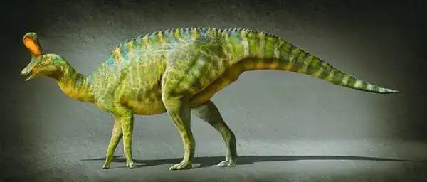 棘鼻青岛龙复原图 赵闯绘近日,中科院古脊椎动物与古人类研究所汪筱林