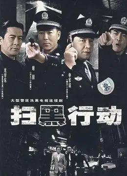 扫黑行动(更新至24集)-全集在线观看-电视剧-爱奇艺影视大全