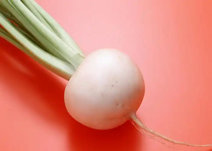 白萝卜图片蔬菜萝卜白萝卜