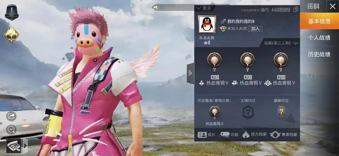 【安卓qq】1套装-无枪皮 官方自营和平精英特斯拉白色轿车 缤纷油彩