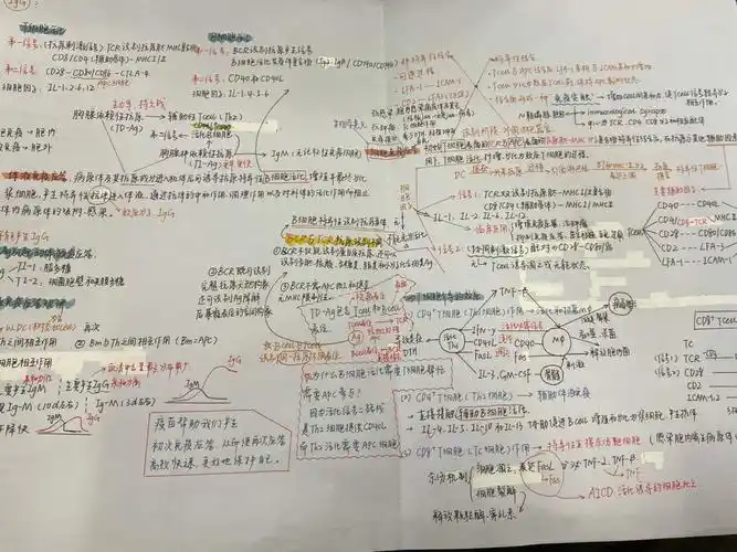 医学免疫学快点放下手机打开课本