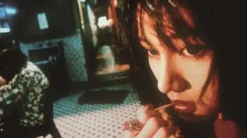 《王家卫的电影世界》:独特视觉风格中的文学性_阿飞