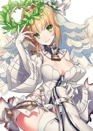 fgo花嫁尼禄简评最能拐的剑阶输出实用多种体系