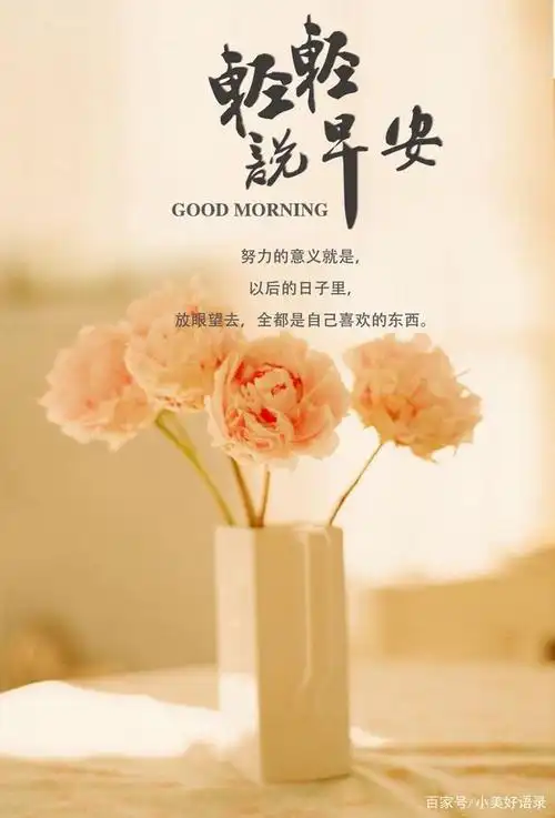 早安元气满满的句子,新的一天开始了说说正能量,句句充满希望!