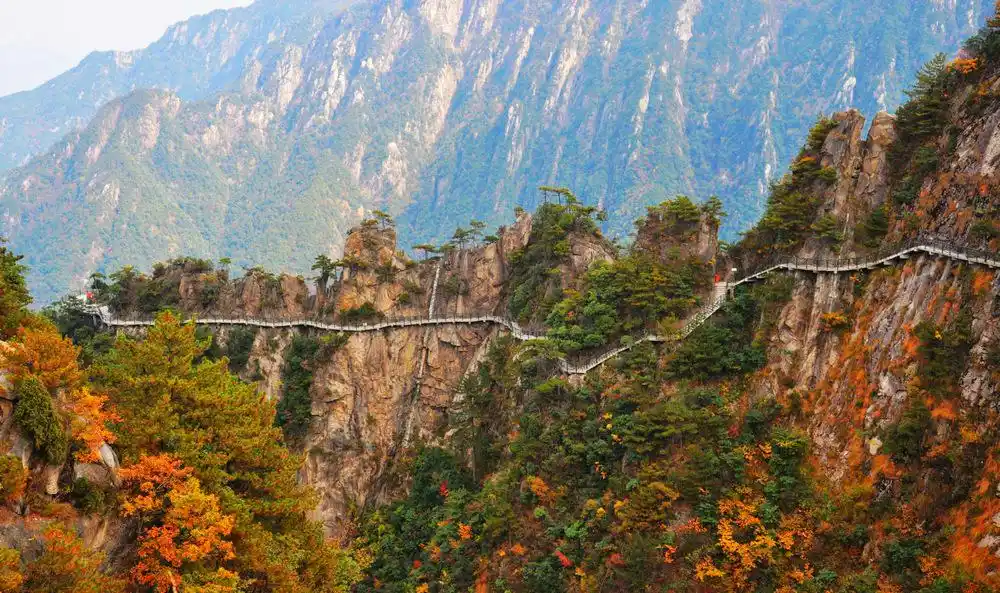 大明山--秋色渐浓迷人眼图片372,浙江省旅游景点,风景名胜 - 蚂蜂窝