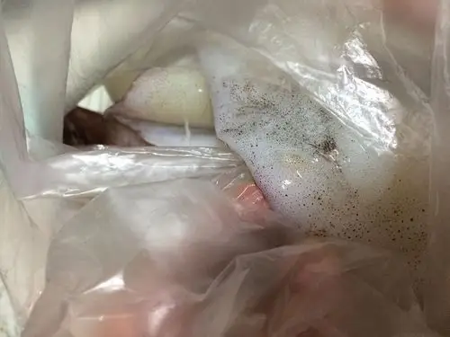 晚上在市场买了几只鱿鱼,吃完饭准备清洗干净明天吃.