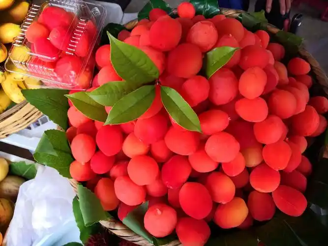 大理好看好吃水果金梅