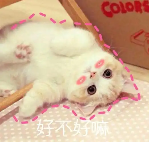 超级萌喵星人表情包大全