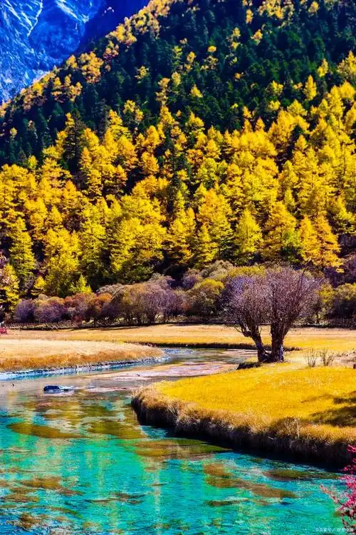 四川的秋季旅游目的地都能满足您对美景,历史和文化的需求