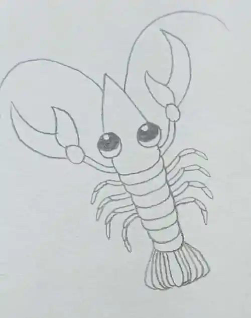 龙虾简笔画,虾米简笔画视频教程