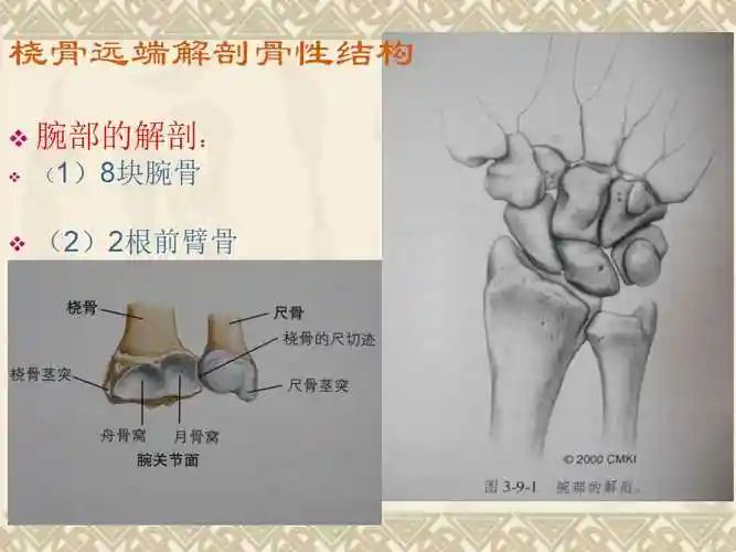 推荐| 桡骨远端骨折的治疗策略