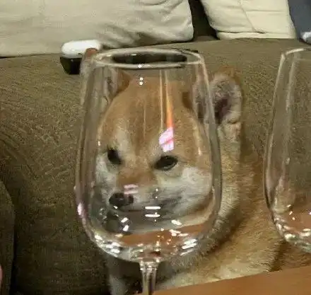 沙雕宠物狗头像