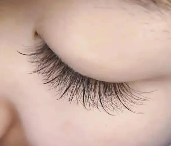 仙女睫毛