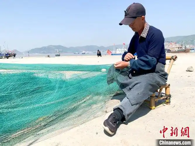 东海伏季休渔期将至 浙江渔船陆续返港,民众忙囤海鲜