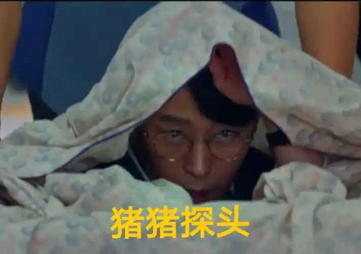 这新的一集里猪蛋挞也太逗了吧哈哈哈哈哈有点萌怎么回事哈哈哈#顶楼3