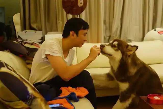 王思聪晒逗狗狗最新照片网友看了宠物餐食后表示连餐具都买不起