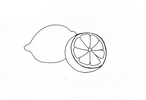 3.用勾线笔勾勒出造型并把柠檬果肉的线条分出来