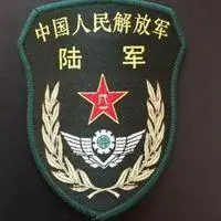 中国人民解放军陆军臂章头像_微信头像图片大全