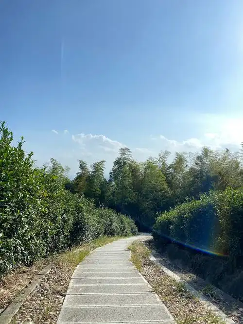 宁波北山游步道一日游