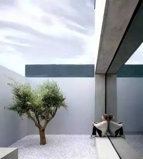 一面白墙美了一个院子