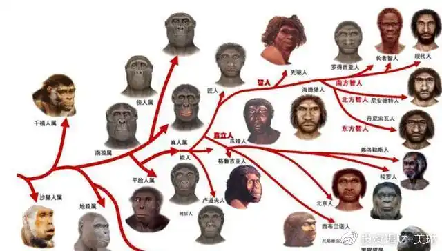 非洲小人族俾格米人身材如此矮小为什么能10岁前结婚生子