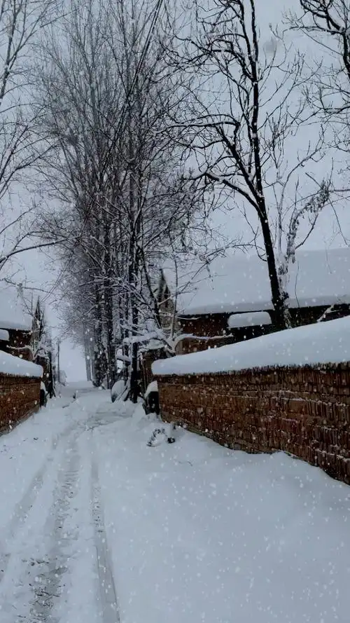 家乡的雪景#那时候只要下雪就感觉快过年了,就可以穿新衣服,有几块钱