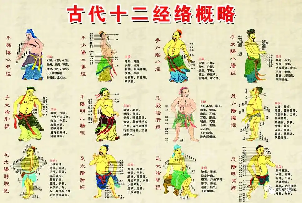 太极汇太极拳的经络养生健身十二秘密