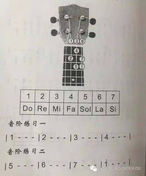 ukulele教程尤克里里初级教程