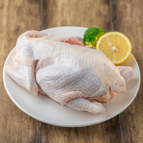 散养2年老母鸡农家新鲜整鸡土鸡笨鸡草鸡鸡跑山鸡走地鸡 丽鲜玫 老