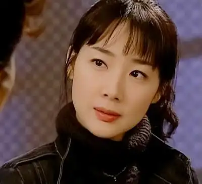 天国的阶梯崔智友