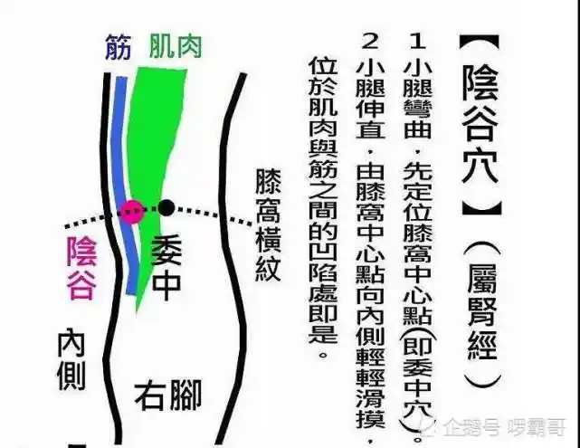阴谷穴一既能治疗多汗证又能治疗颈椎病