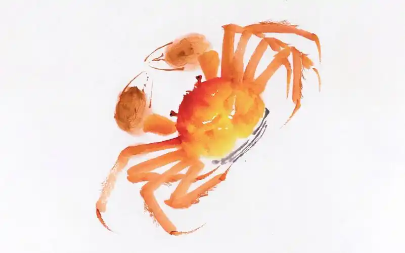 【国画小教程】这个螃蟹熟透了-幸运的好盆友-默认收藏夹-哔哩哔哩