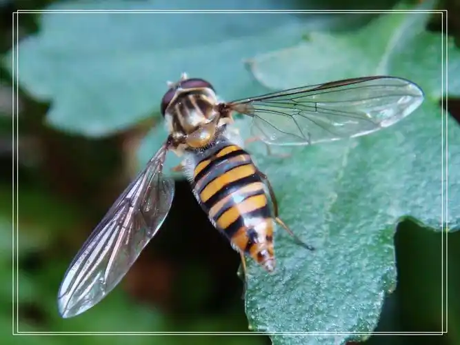 原图欣赏-太平洋摄影部落