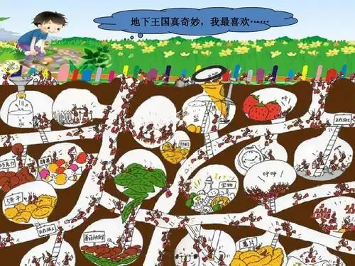 湘教版小学美术一年级下册_第17课_地下王国