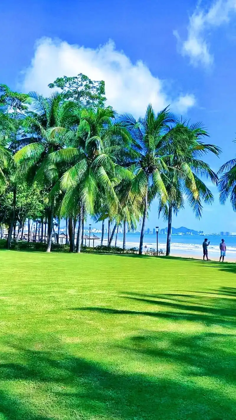 三亚湾椰梦长廊