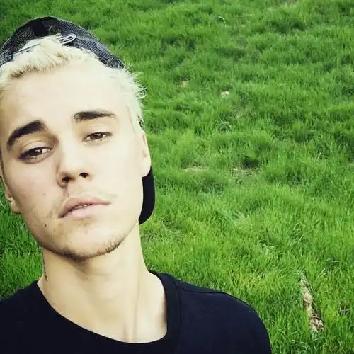 绿地 贾斯汀比伯 男头