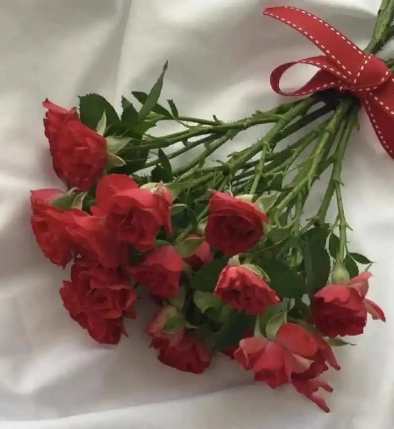 精选红色系背景图～～ 高级ins风哦