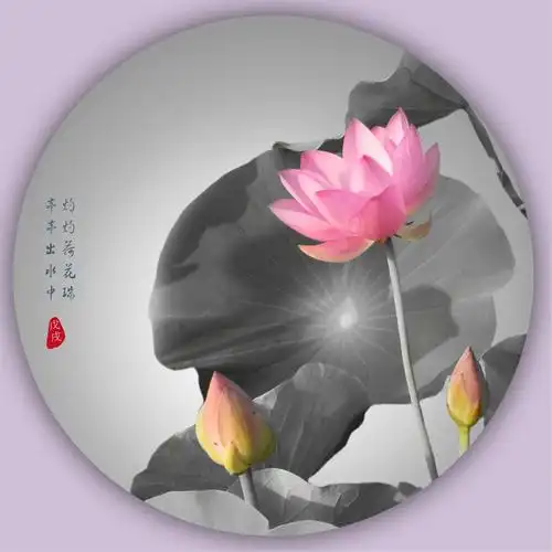 淡淡水墨画,浓浓荷花韵