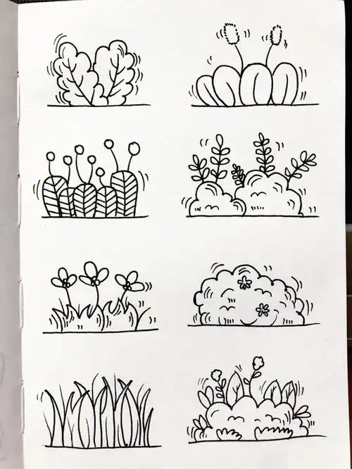 画画203简笔画植物篇小草02