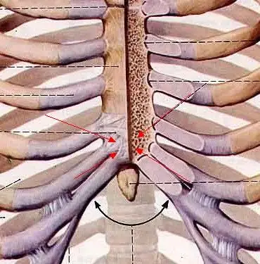 20:49fenghaha710928|四级 你先说你是男女是女,这里叫胸骨柄