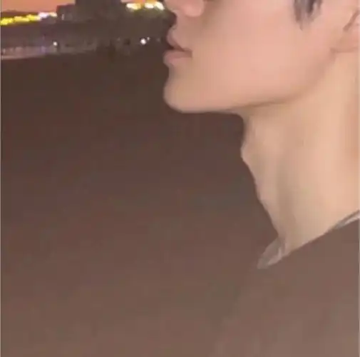 张张张双喉结鲨我