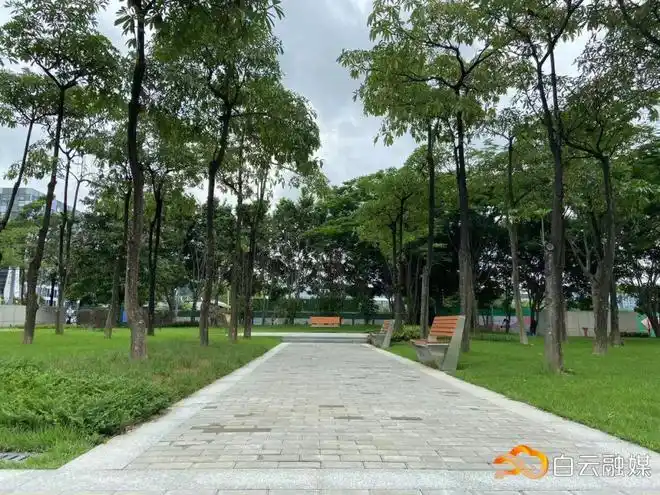 口袋公园上新了就在飞翔公园地铁站