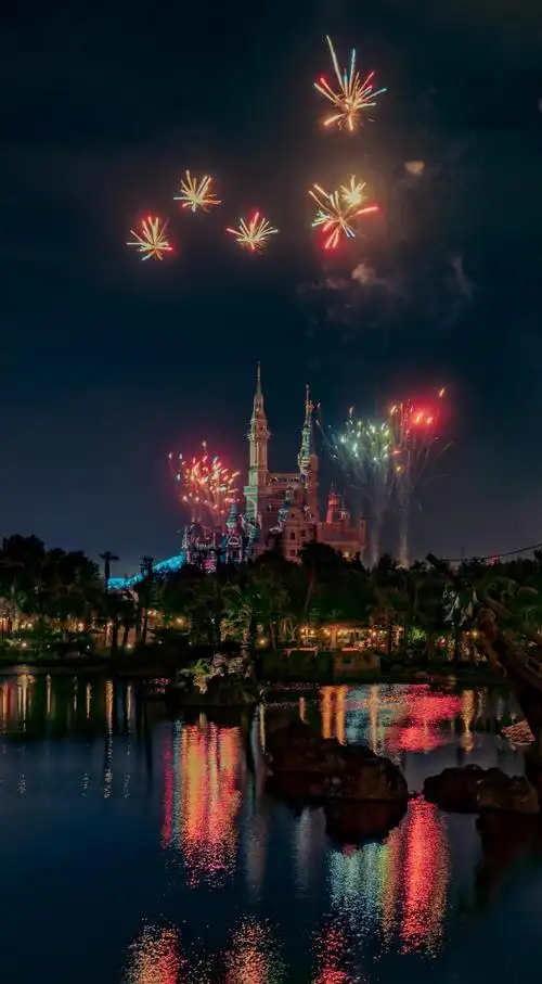 上海迪士尼城堡烟花,图片大全,高清,图库-回车桌面