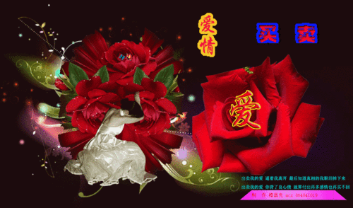 [单图音画] 音画爱情买卖