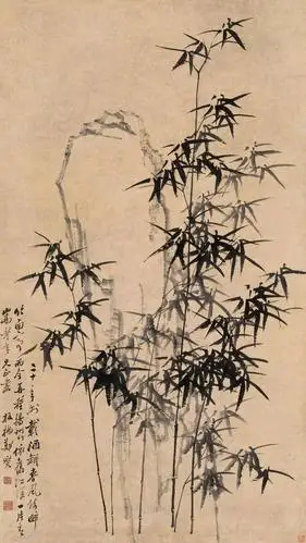 郑板桥画竹取法于徐渭,石涛,八大诸人,而自成家法,体貌疏朗,风格劲峭.