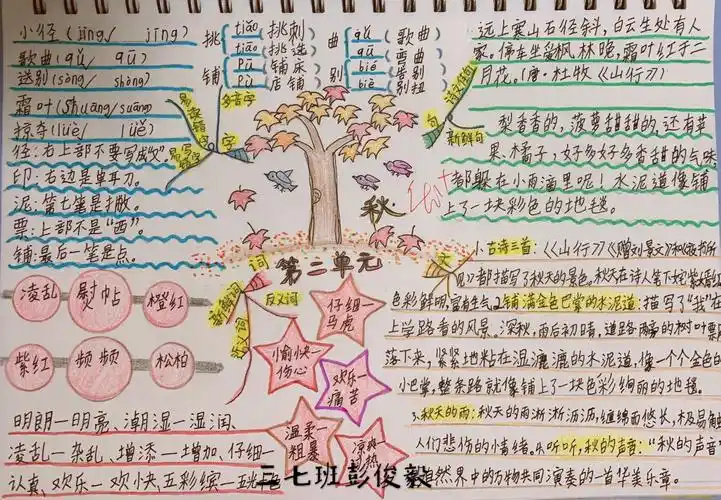 英才小学三(7)班思维导图