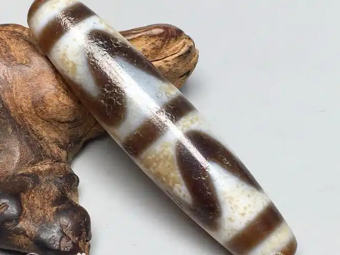 藏传高油包浆双虎牙马蹄纹老天珠,尺寸:56.5×12.