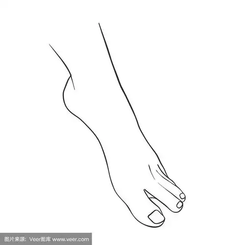 手绘女人脚