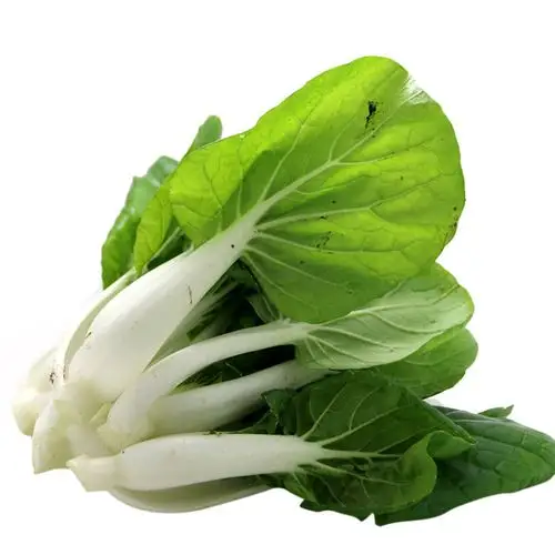 密农人家 农家新鲜 奶白菜 新鲜蔬菜300g